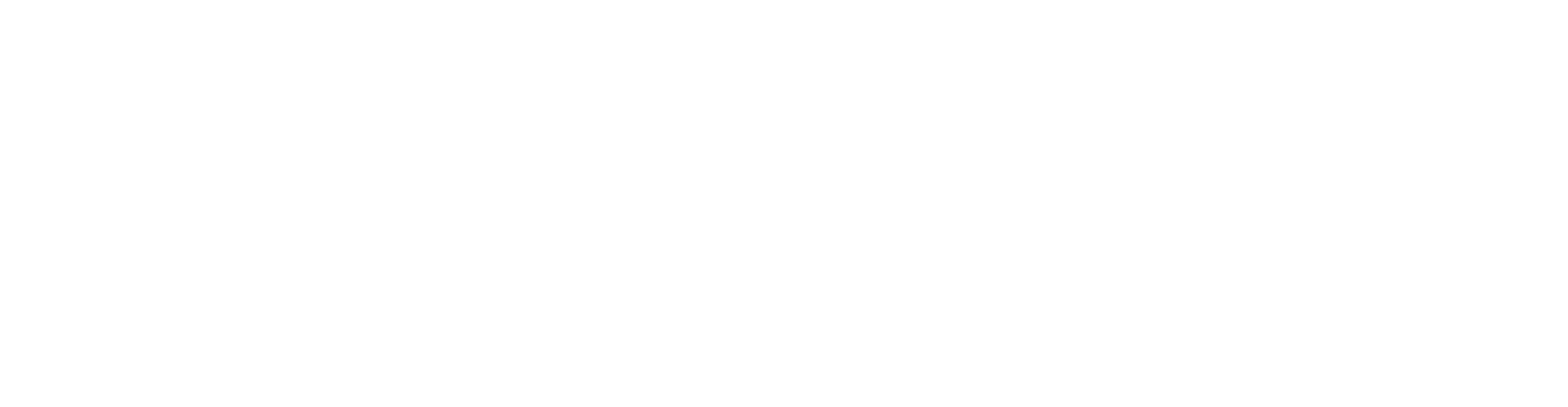 Raysun Equipment
