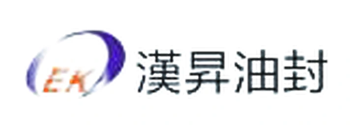Hansheng partner logo
